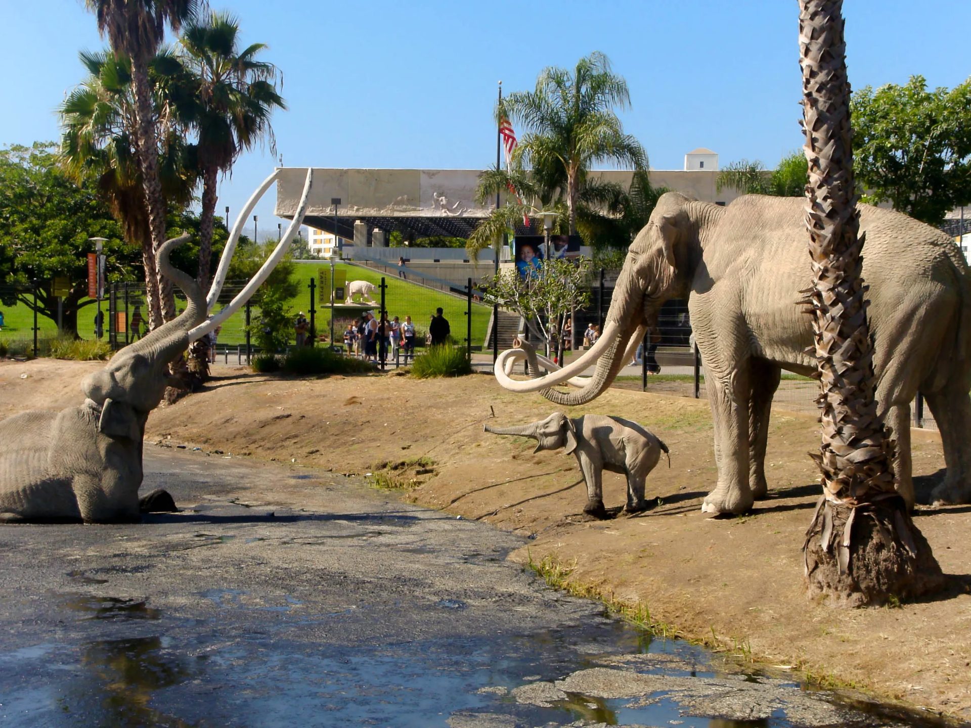 La Brea Tar Pits