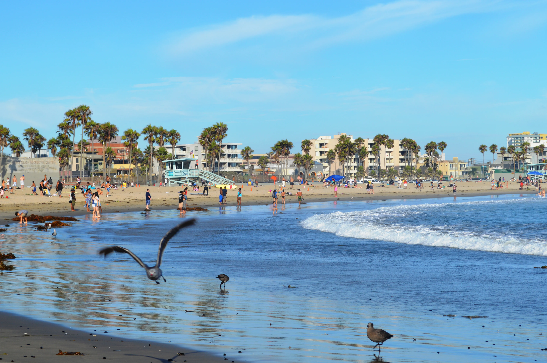 Venice Beach