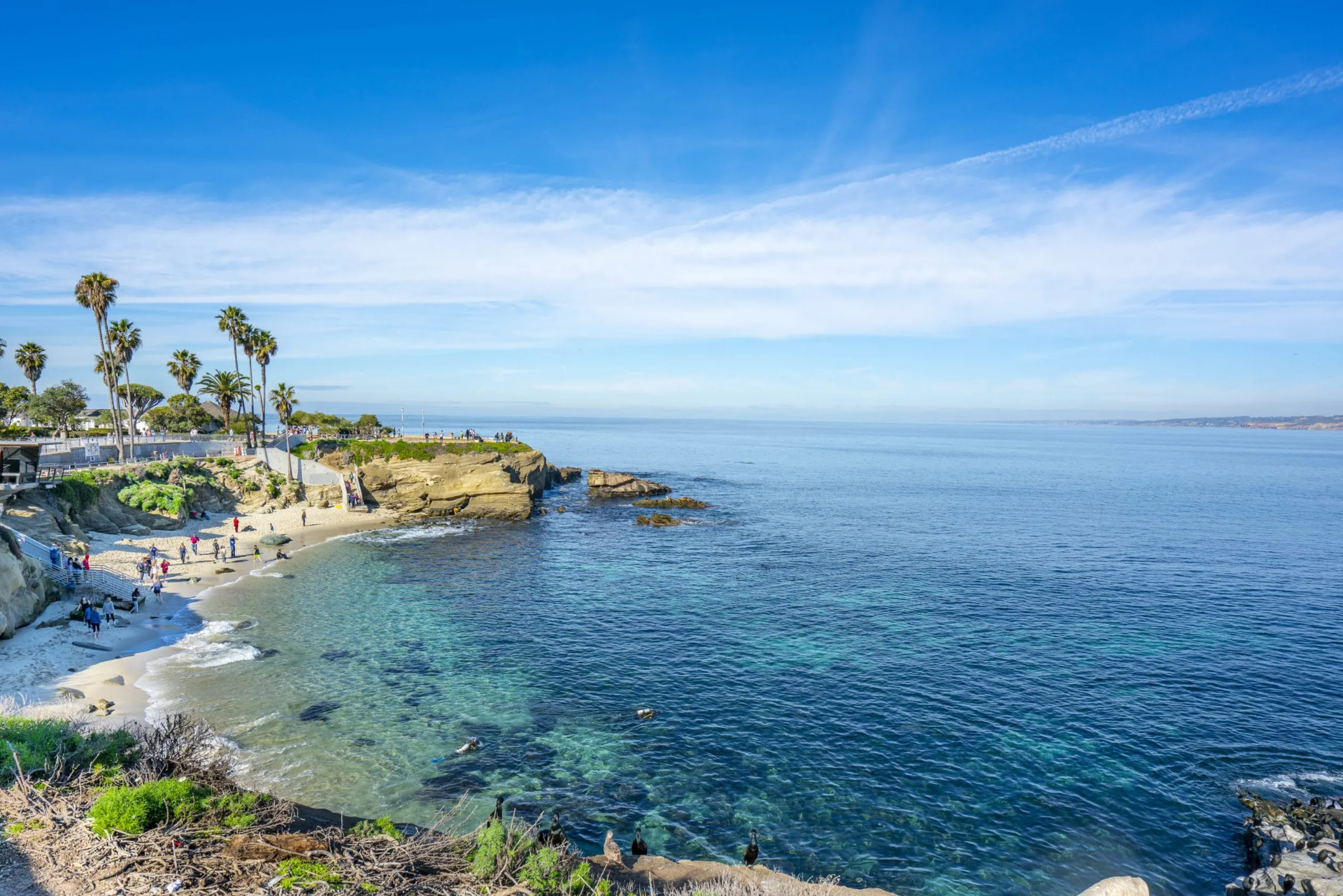 La Jolla Cove