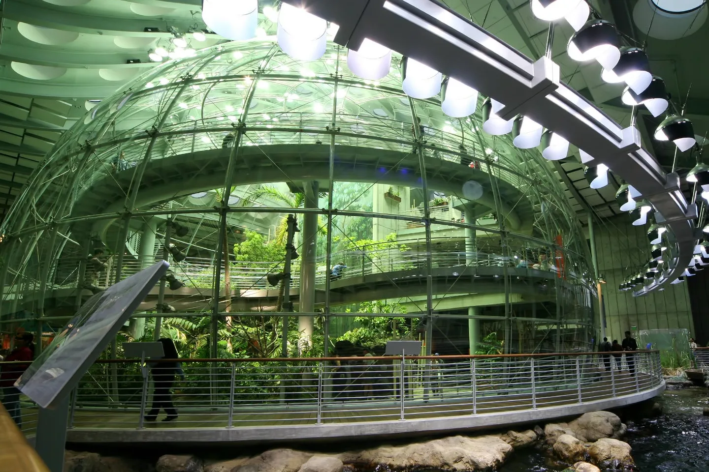 Museo de Ciencias de California (California Academy of Sciences)