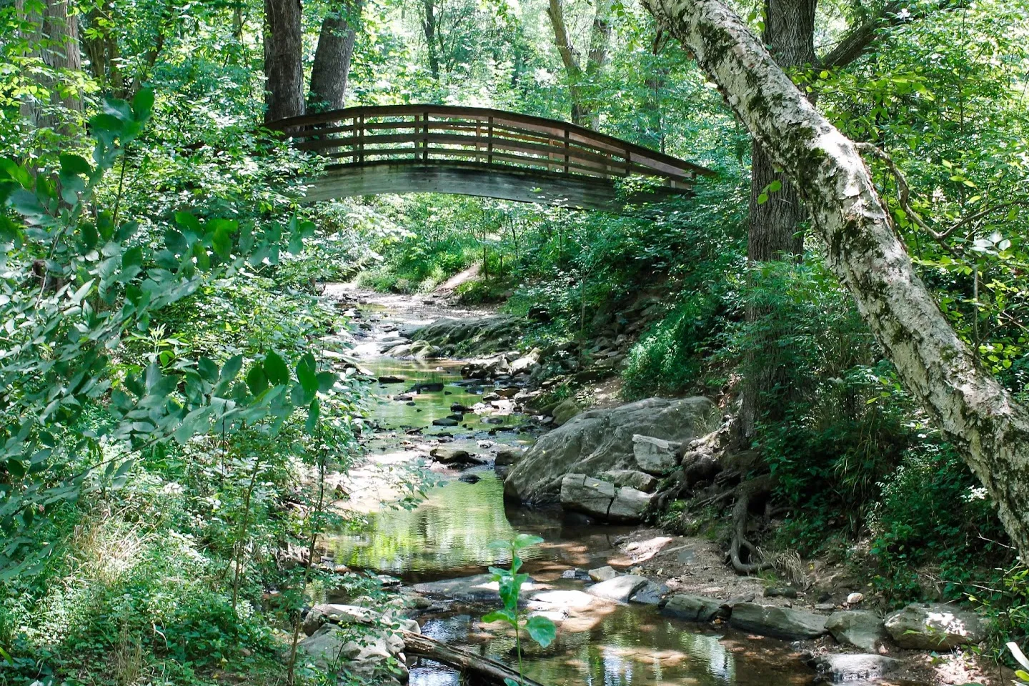 North Carolina Arboretum