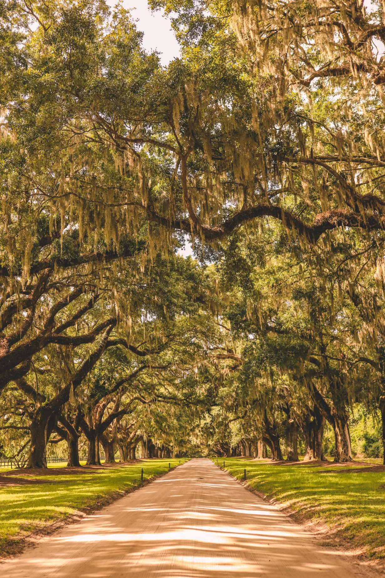 Boone Hall Plantation & Gardens