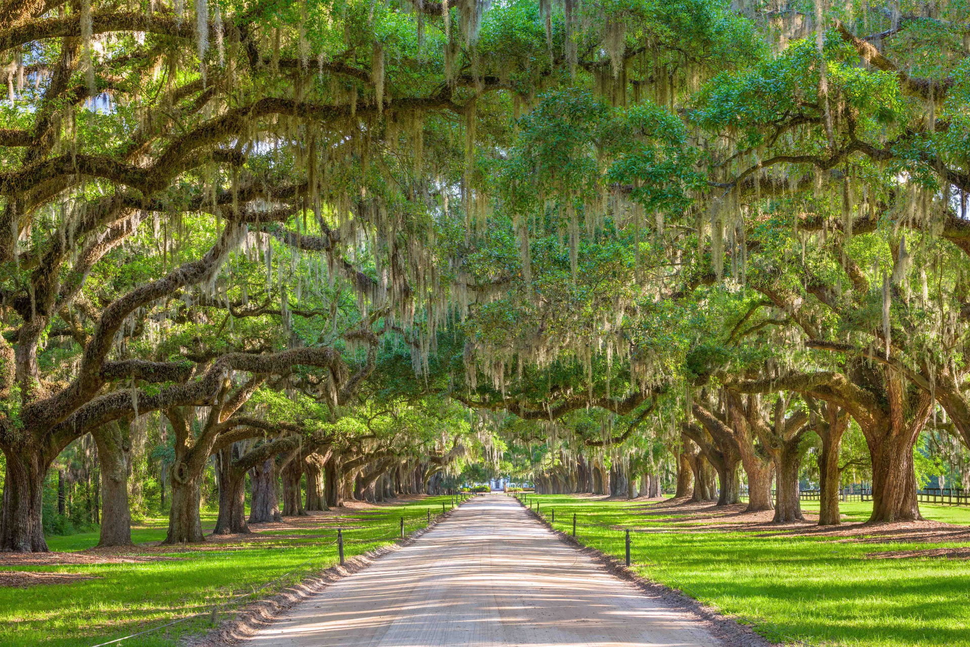 Magnolia Plantation and Gardens