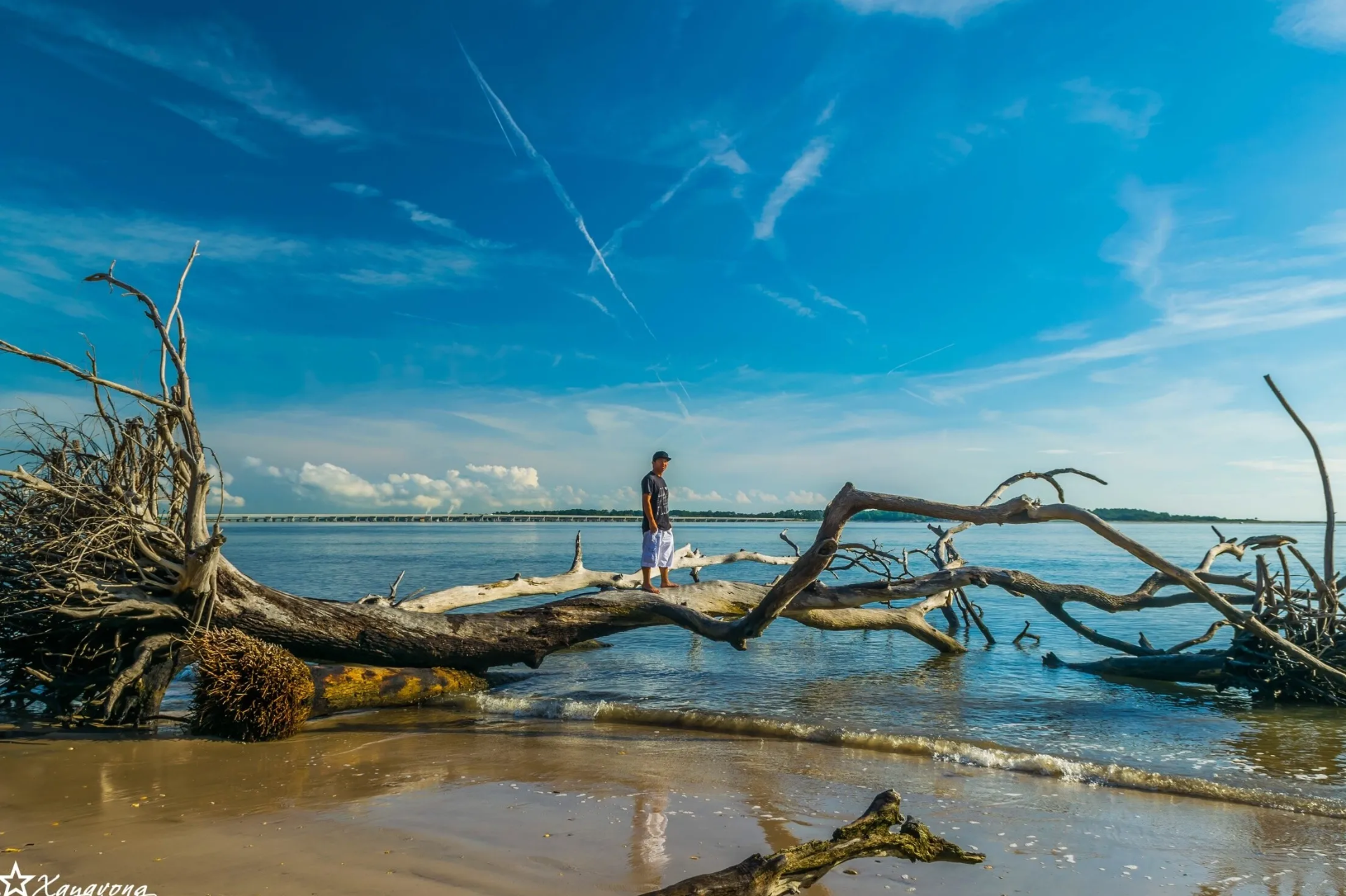 Big Talbot Island State Park