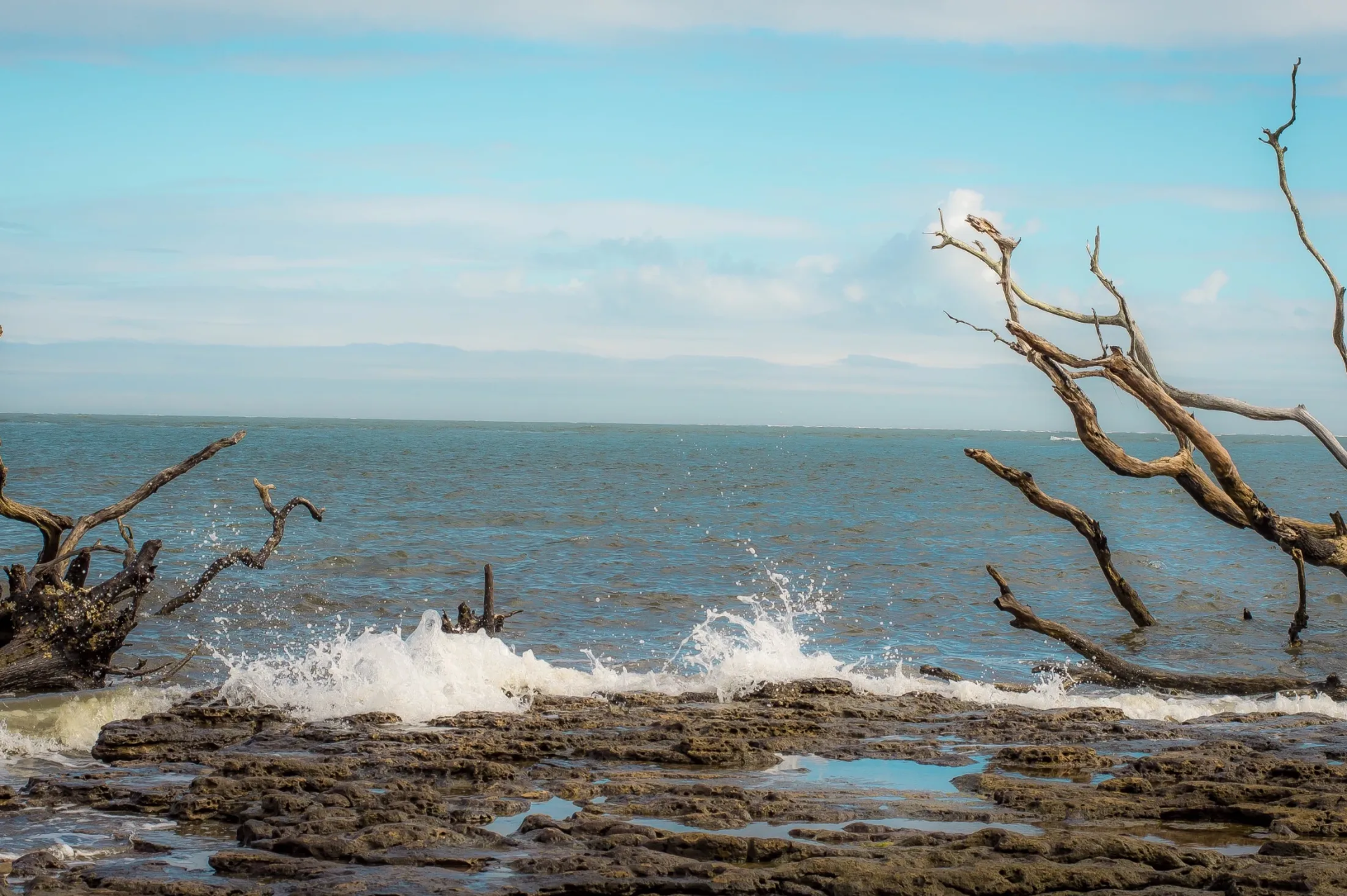 Little Talbot Island State Park