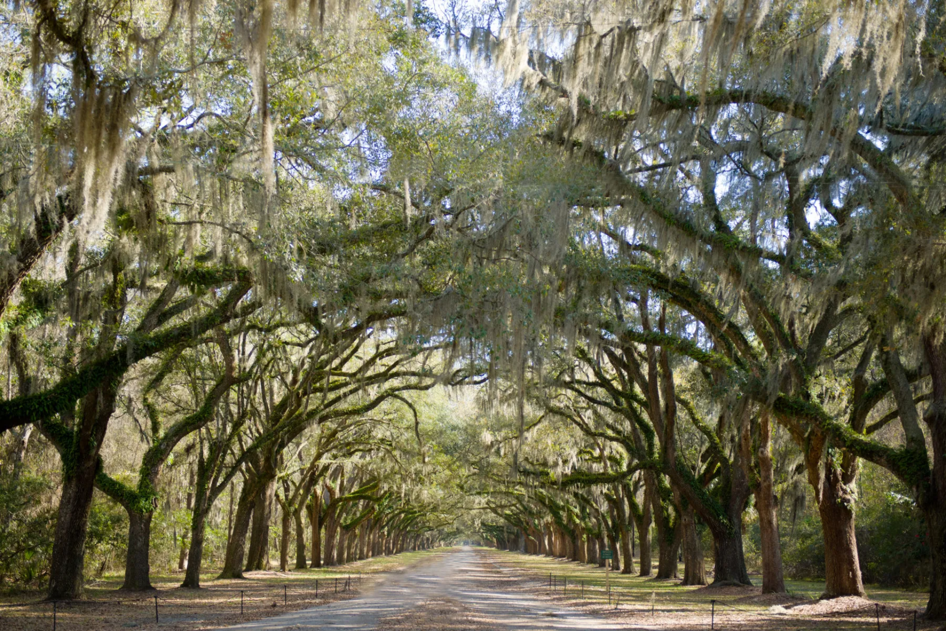 Wormsloe Historic Site