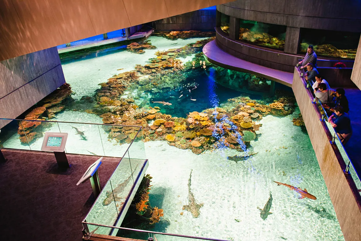 National Aquarium