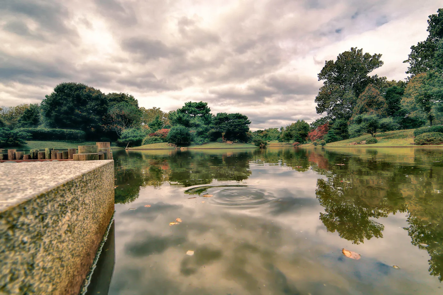 Jardín Botánico de Misuri