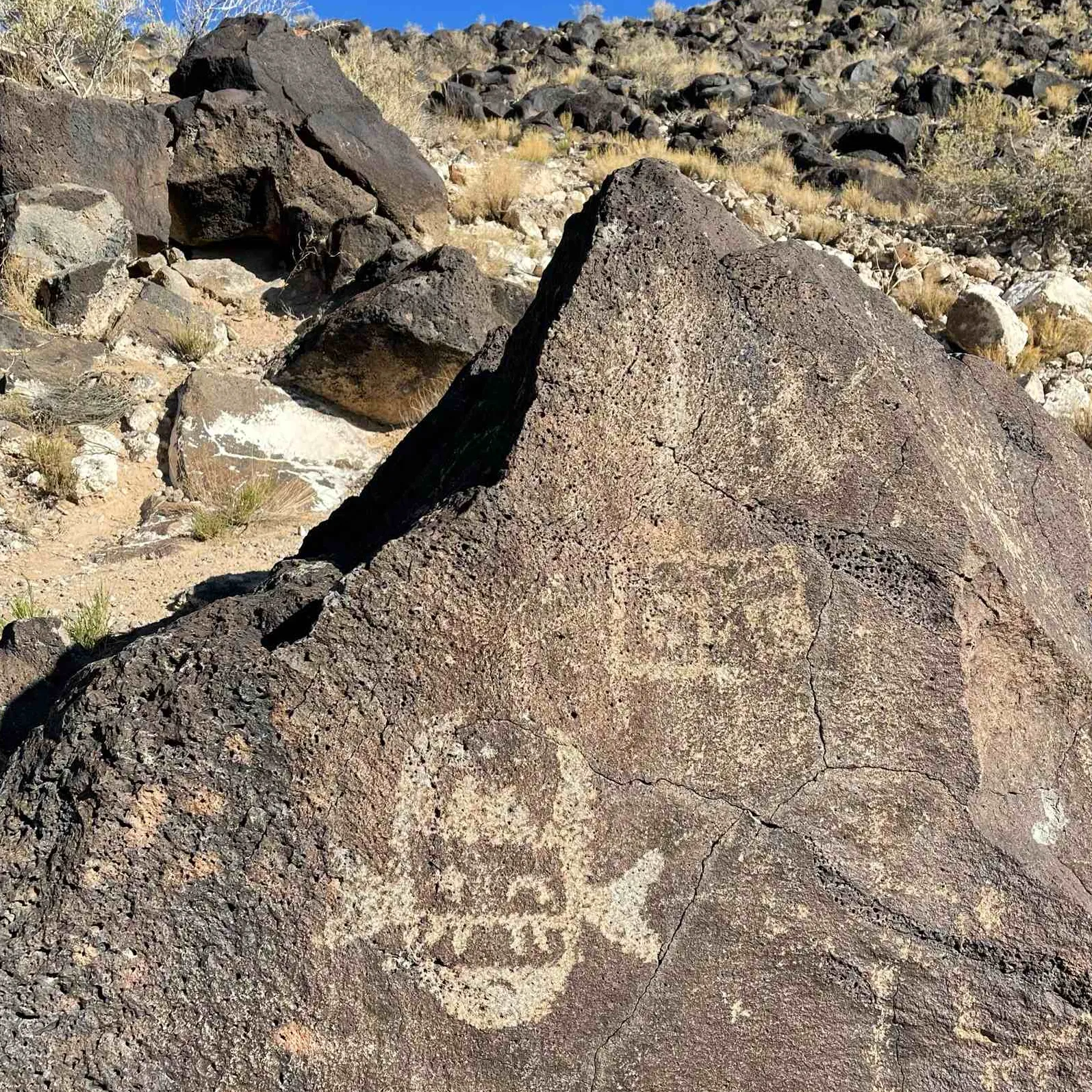 Petroglyph National Monument