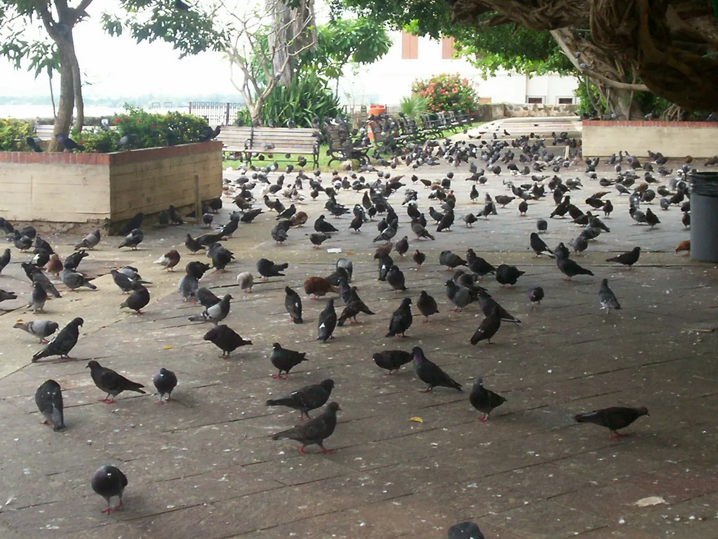 Parque de las Palomas