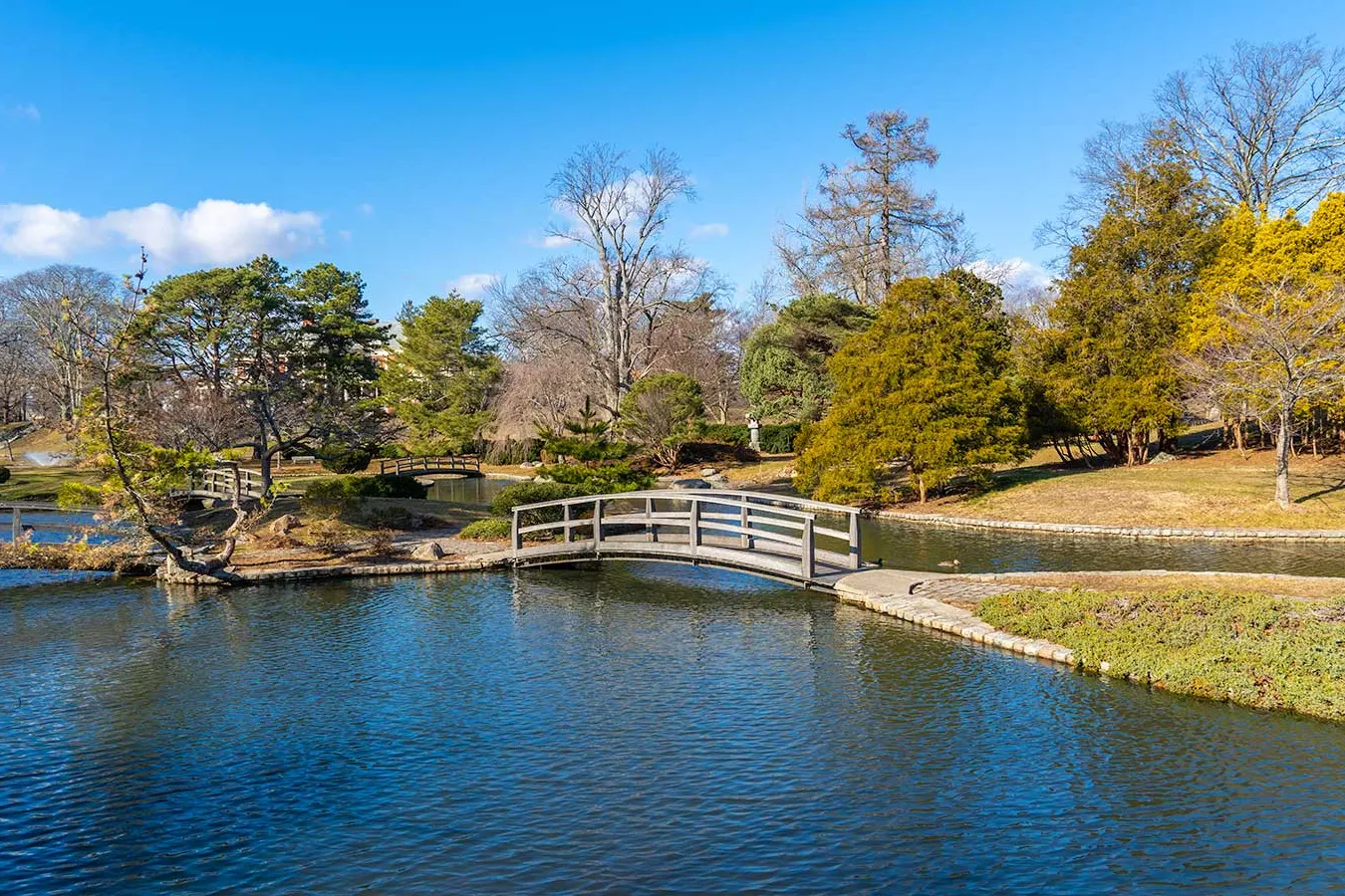 Parque de Roger Williams