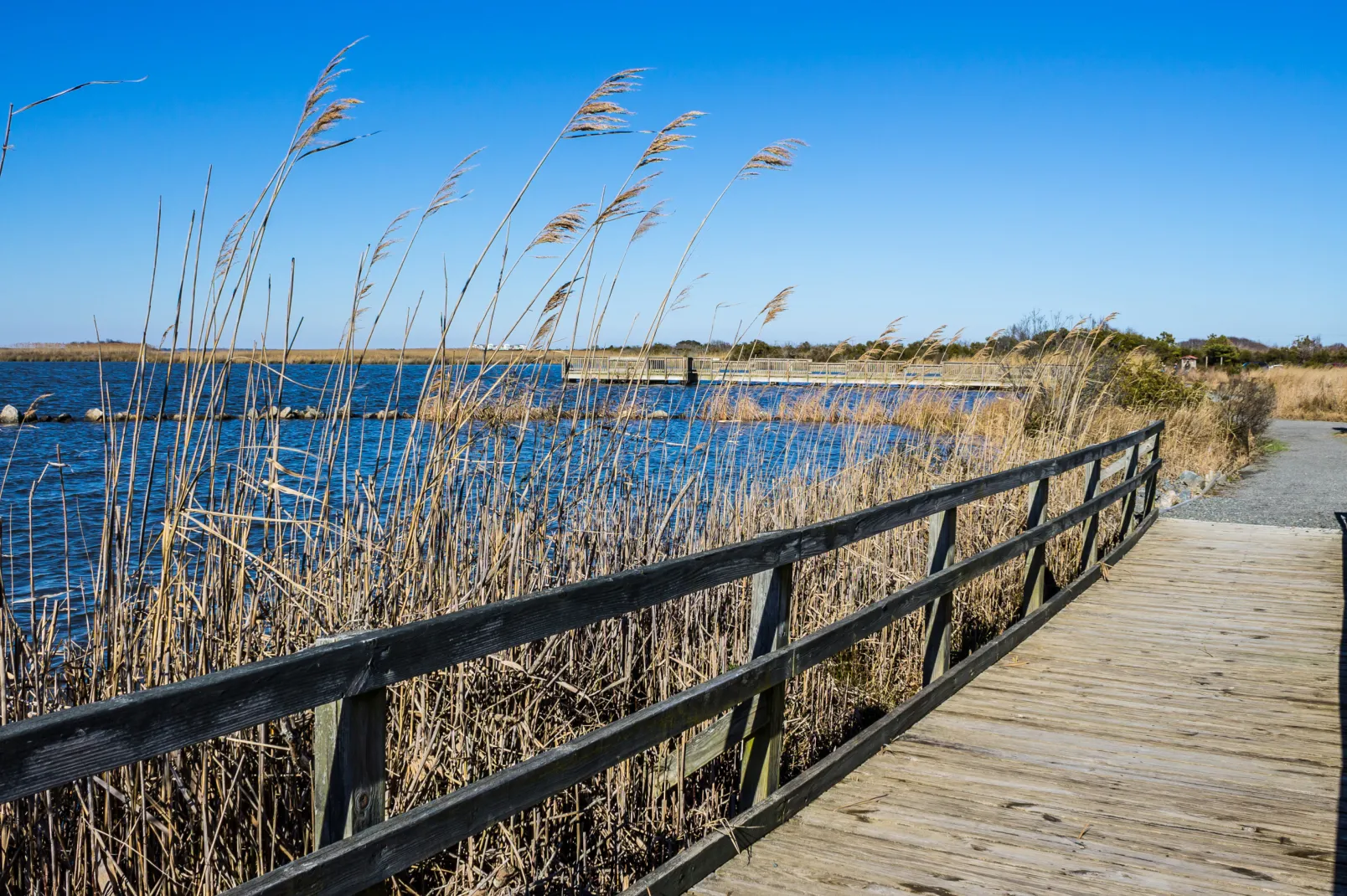 Back Bay National Wildlife Refuge