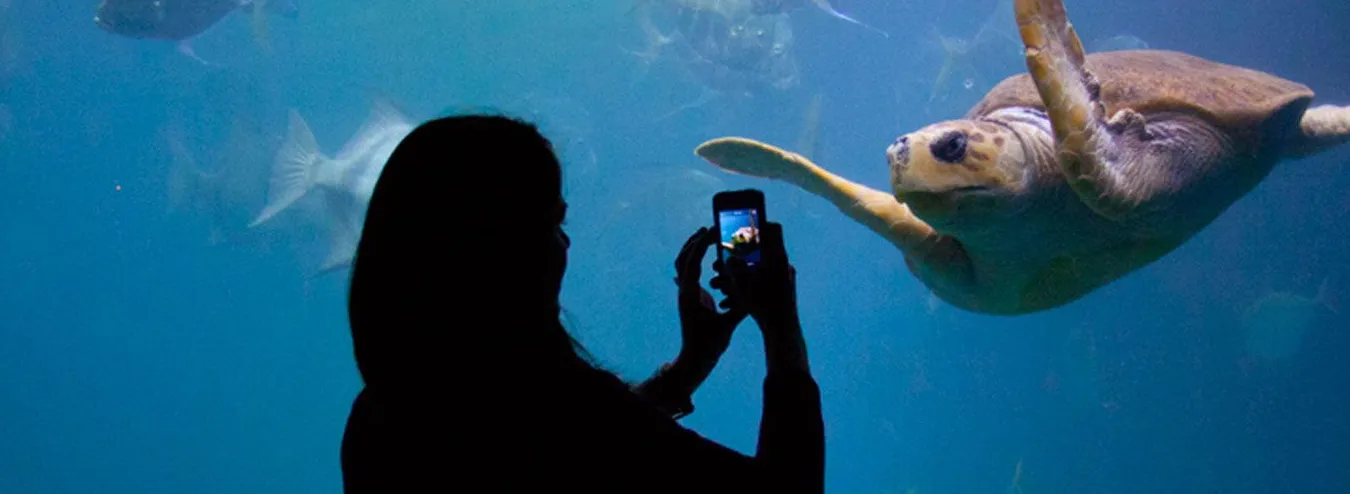 Virginia Aquarium & Marine Science Center