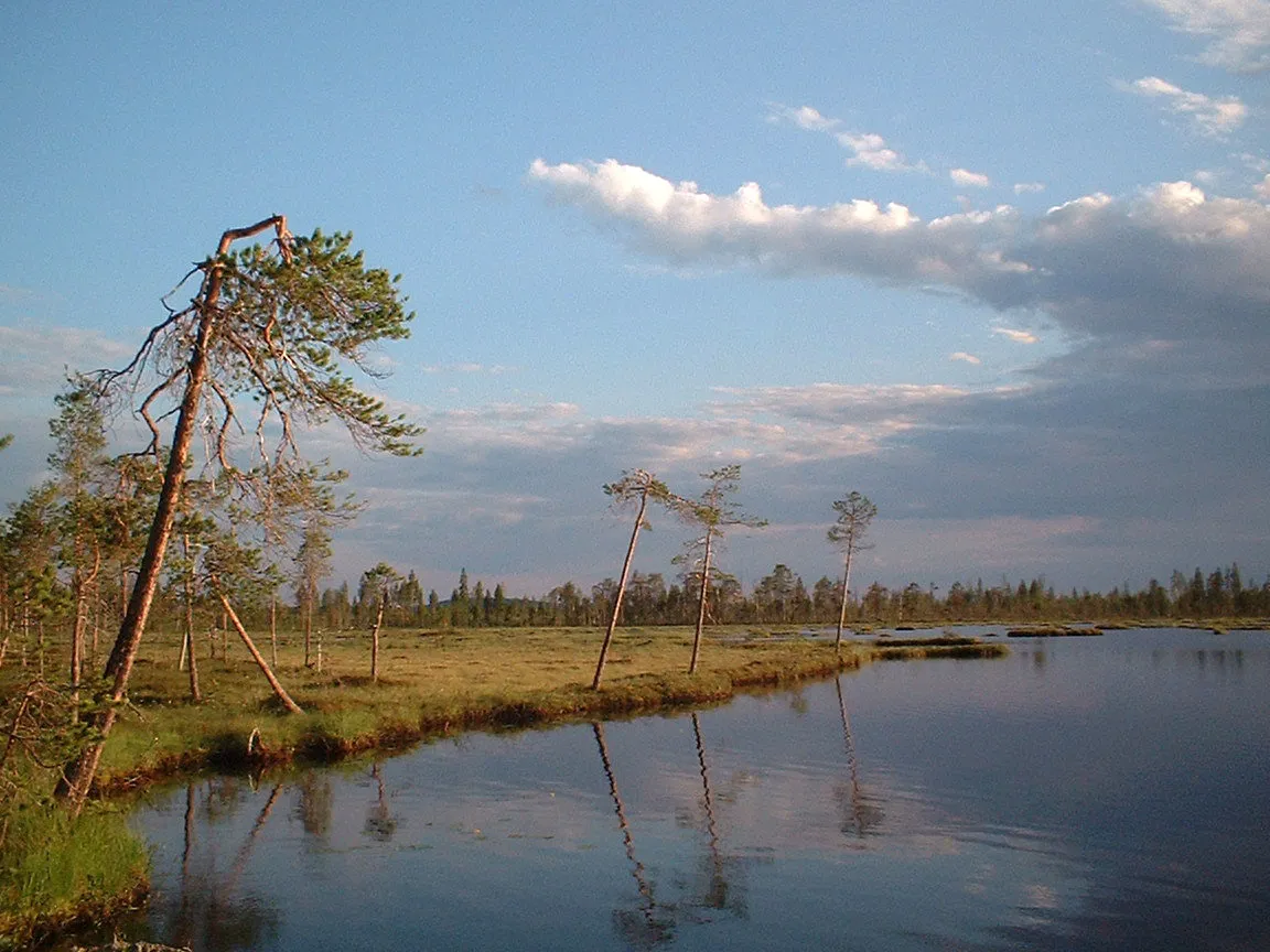 Alajoki Marshlands