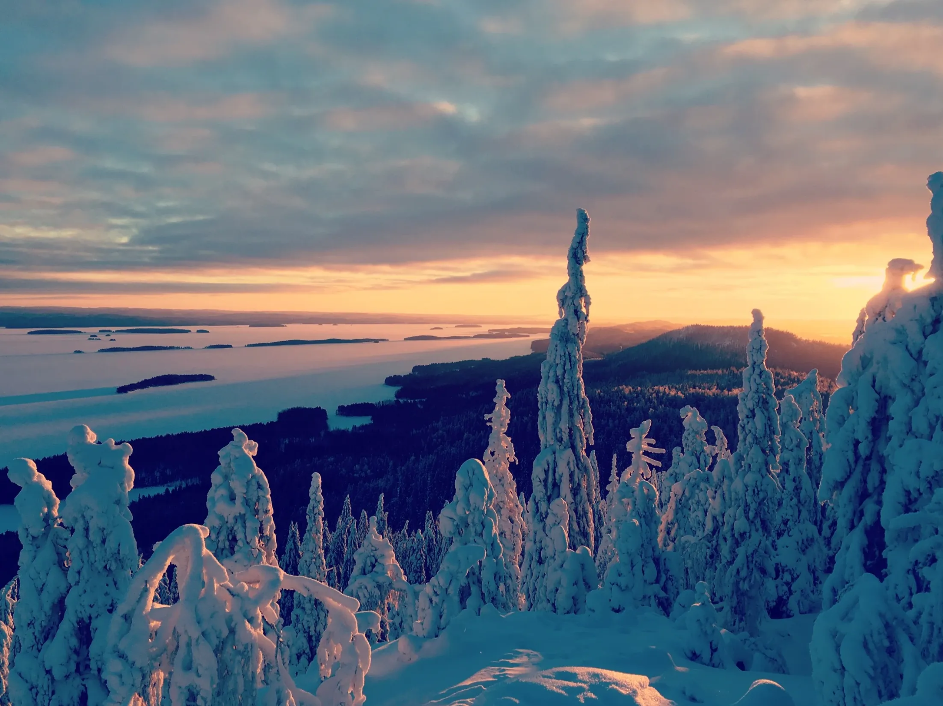 Koli National Park