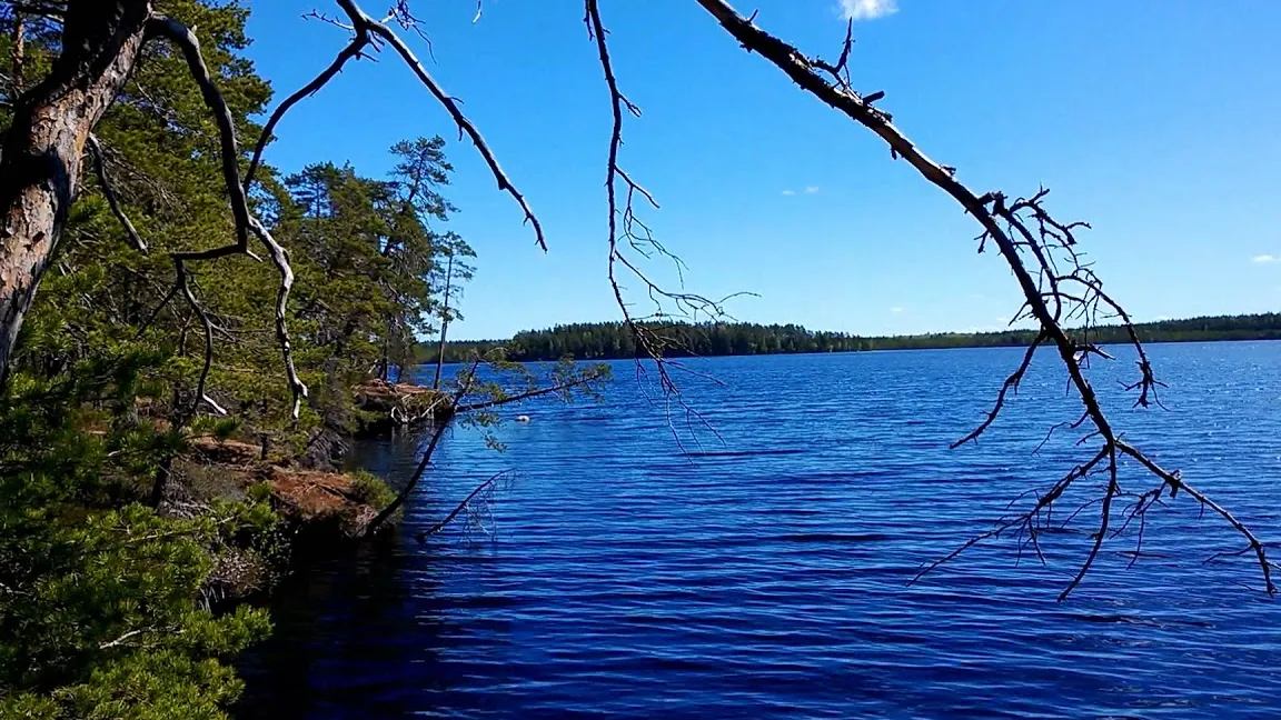 Parque Nacional Kurjenrahka