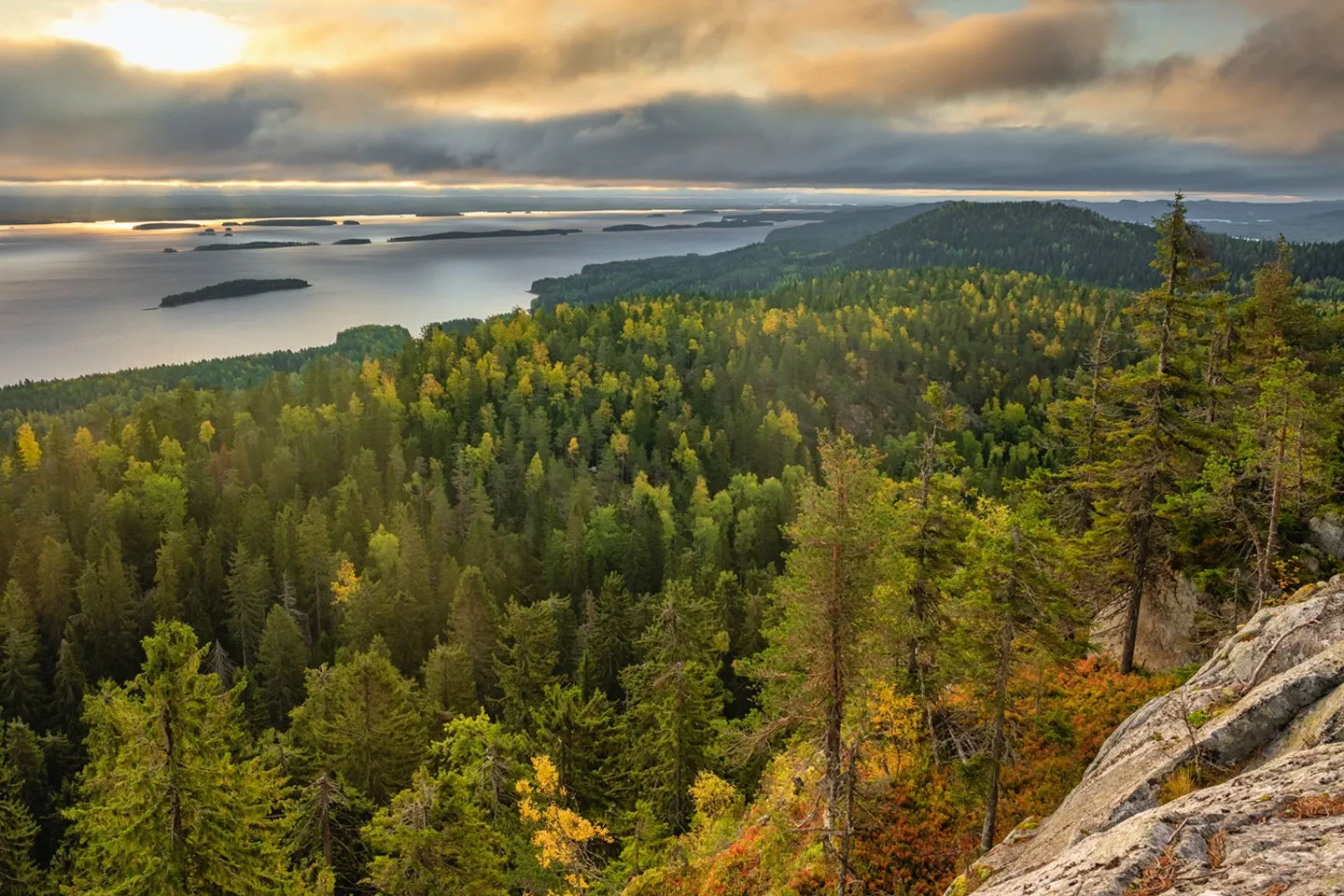 Metsätähti Forest Park