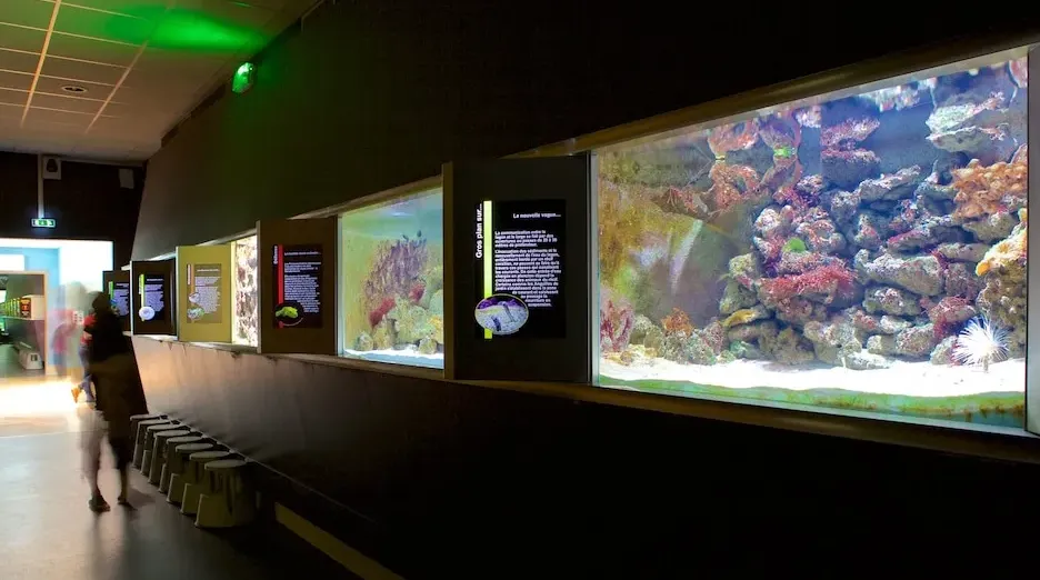 Muséum-Aquarium de Nancy