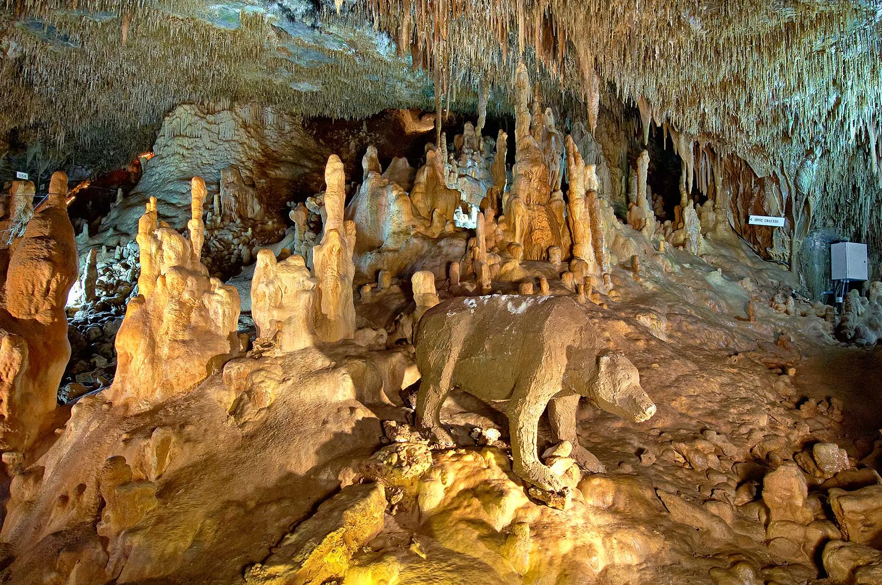 Cueva de Petralona