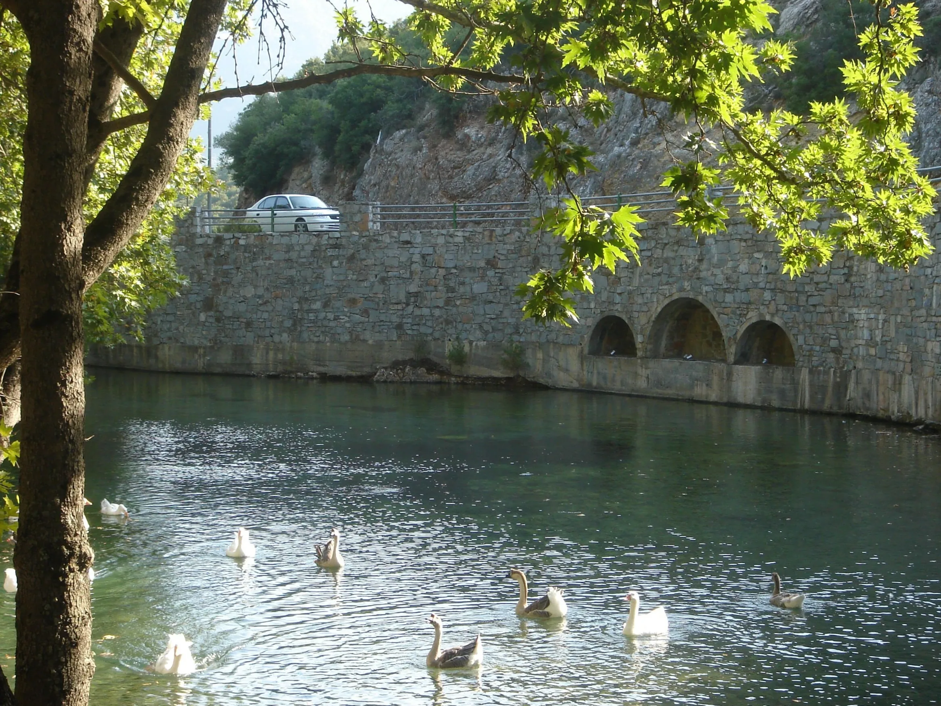 Eurotas River