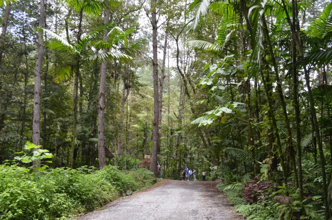 Parque Nacional Las Victorias