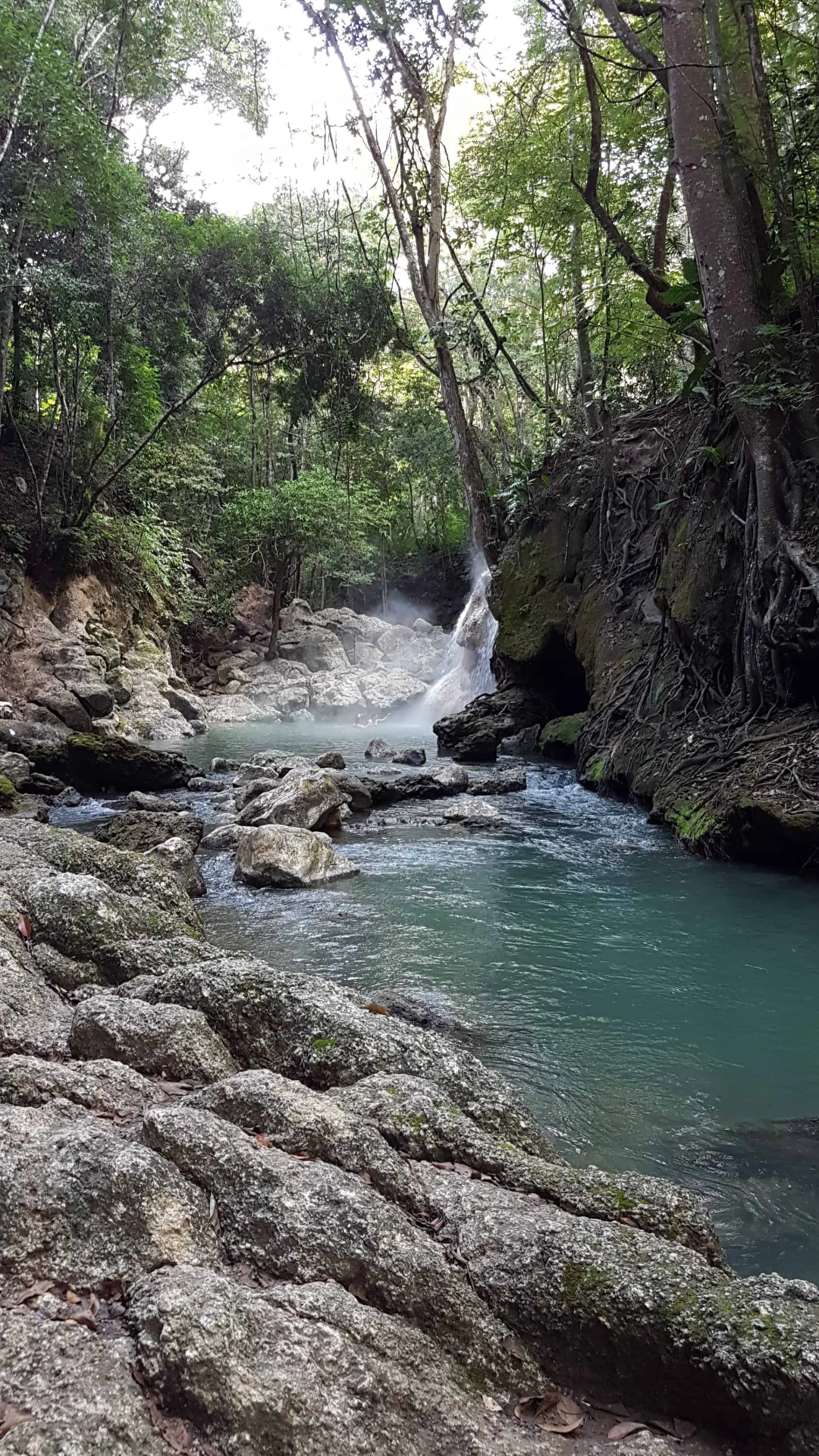 Termas de Finca El Paraíso