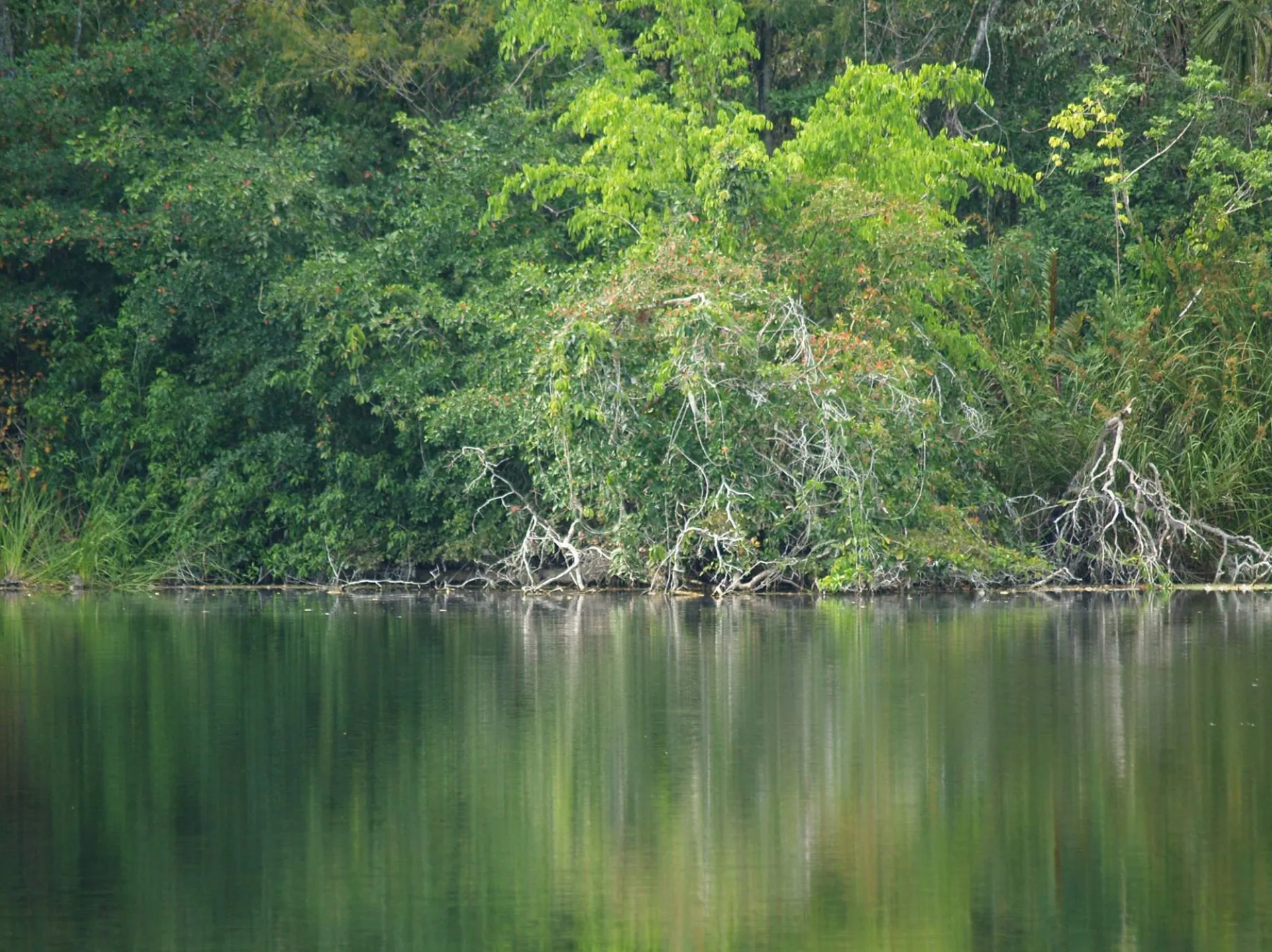 Laguna El Pucté