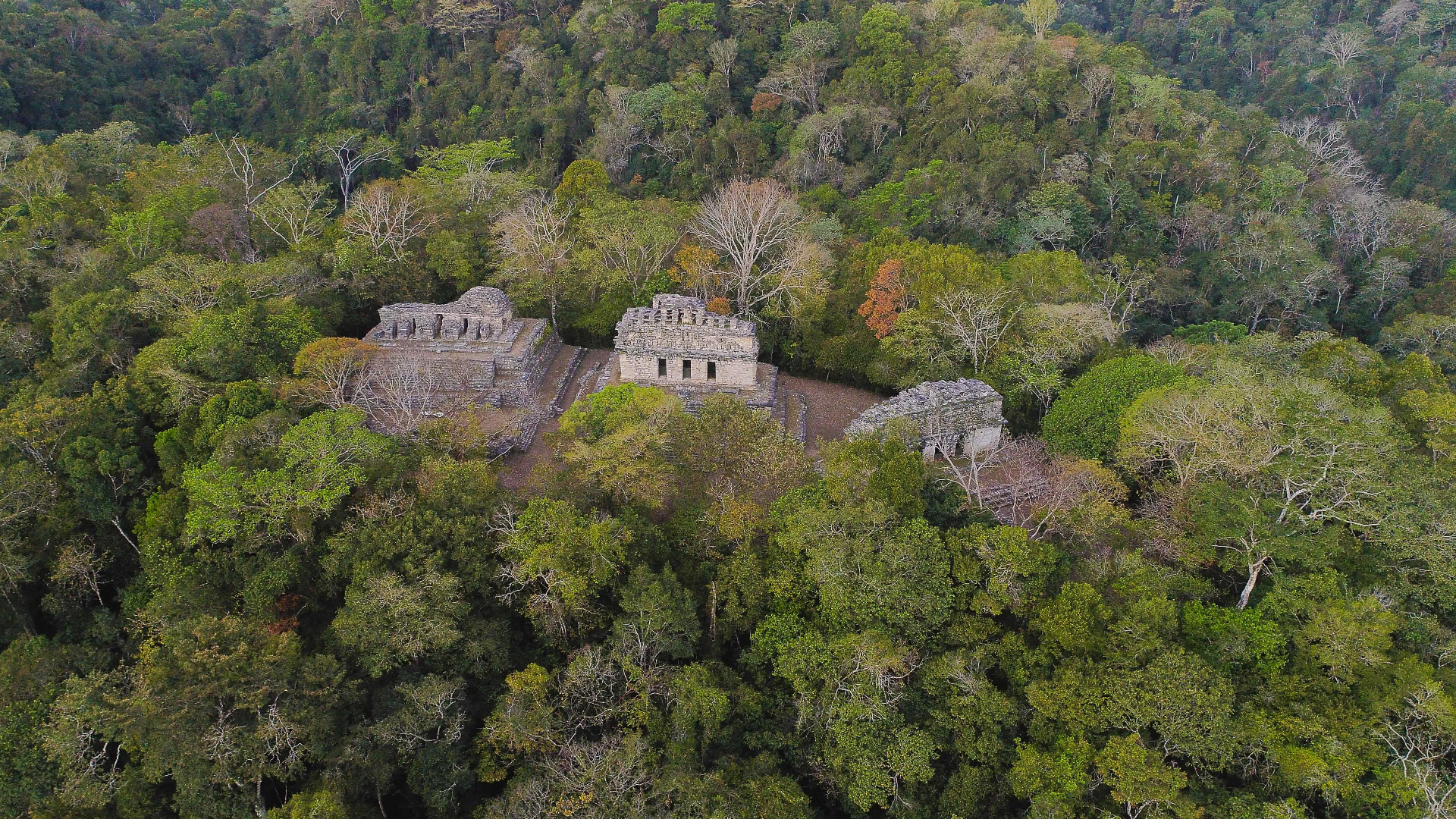 Reserva de Biosfera Maya