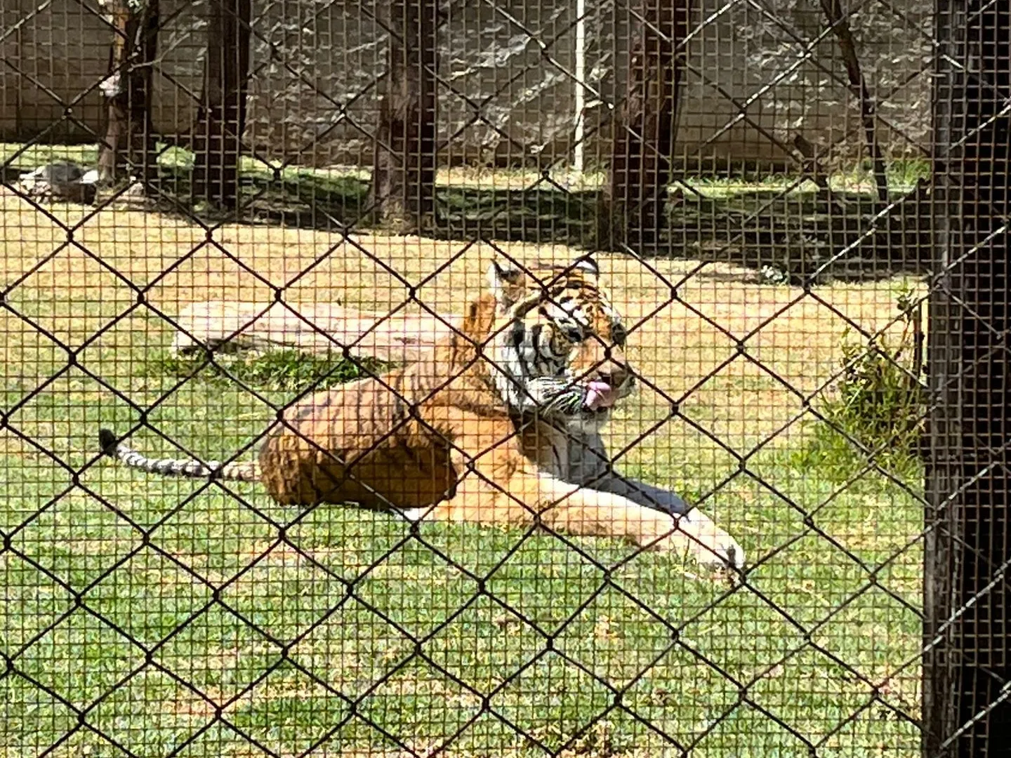 Zoológico Minerva