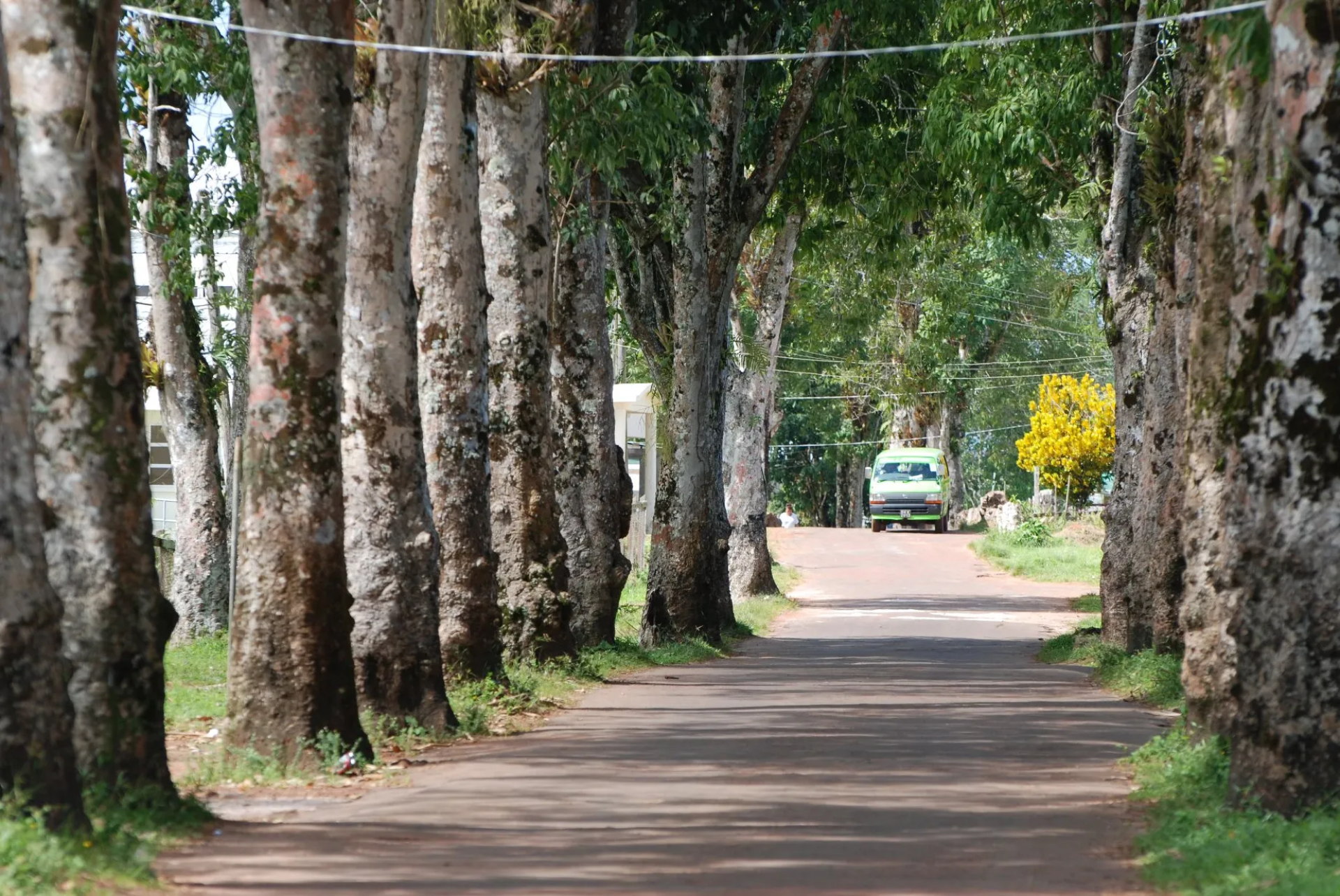 Reserva Forestal Barima-Waini