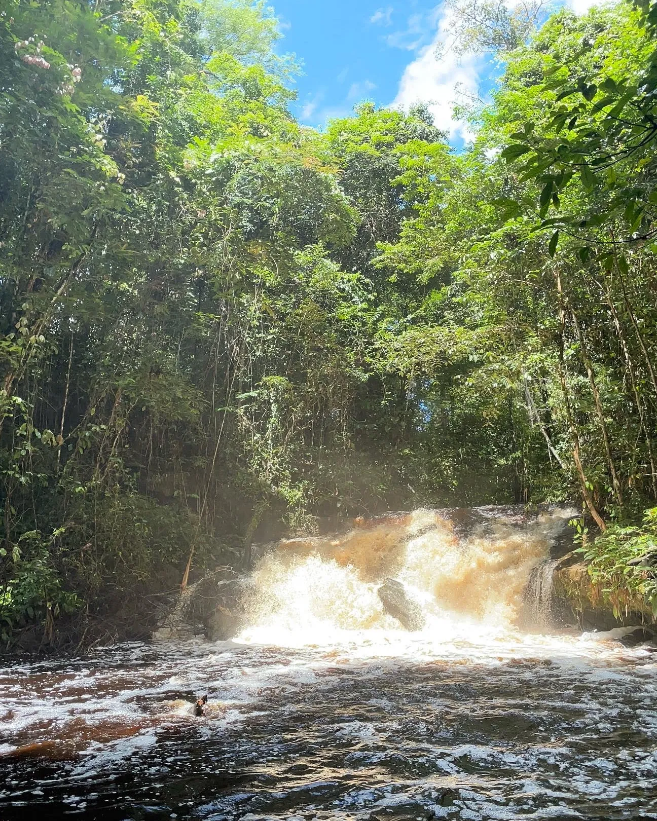 Cataratas Marshall