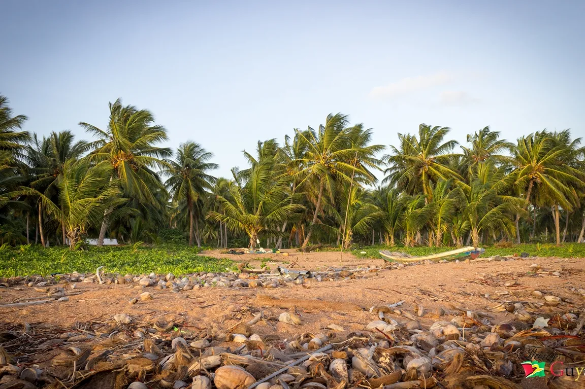 Reserva Natural Shell Beach