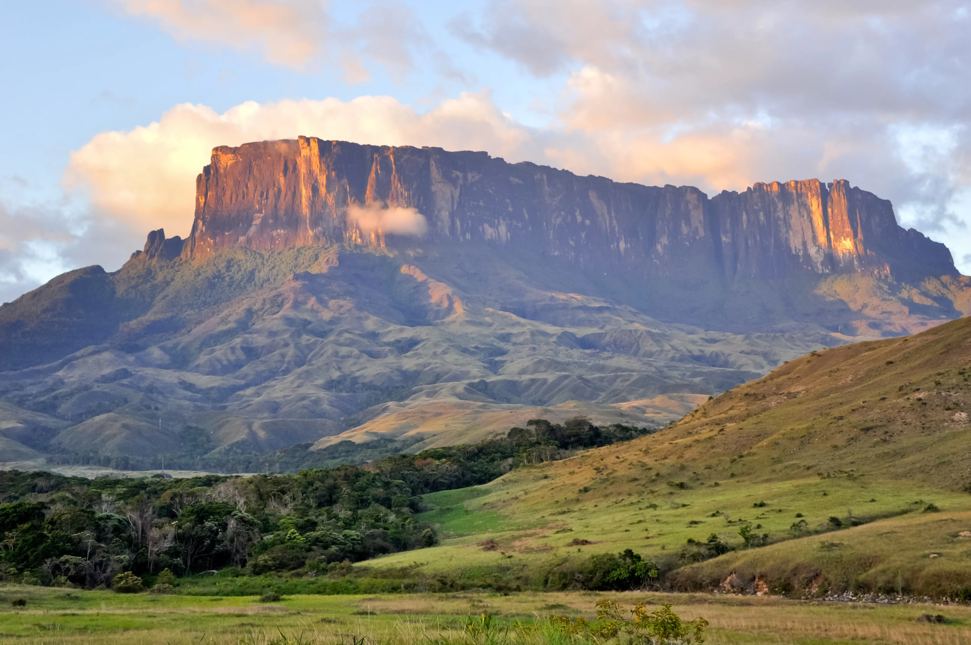 Sabana del Escudo Guayanés