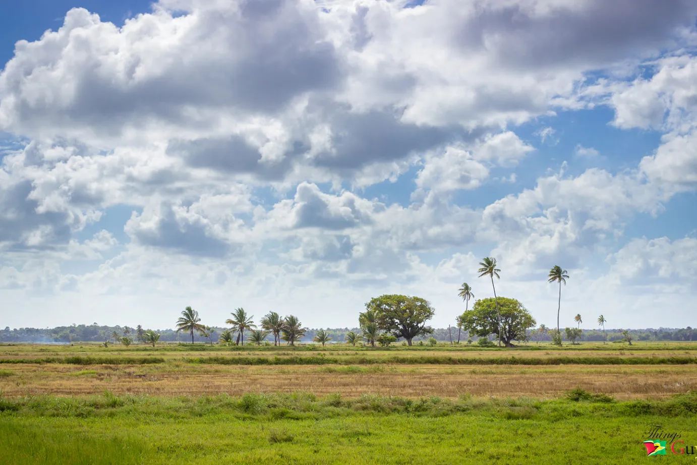 Isla Baracara