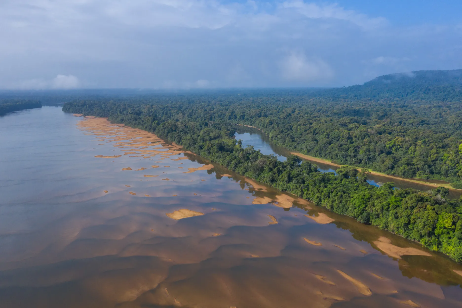 Selva Tropical de Iwokrama