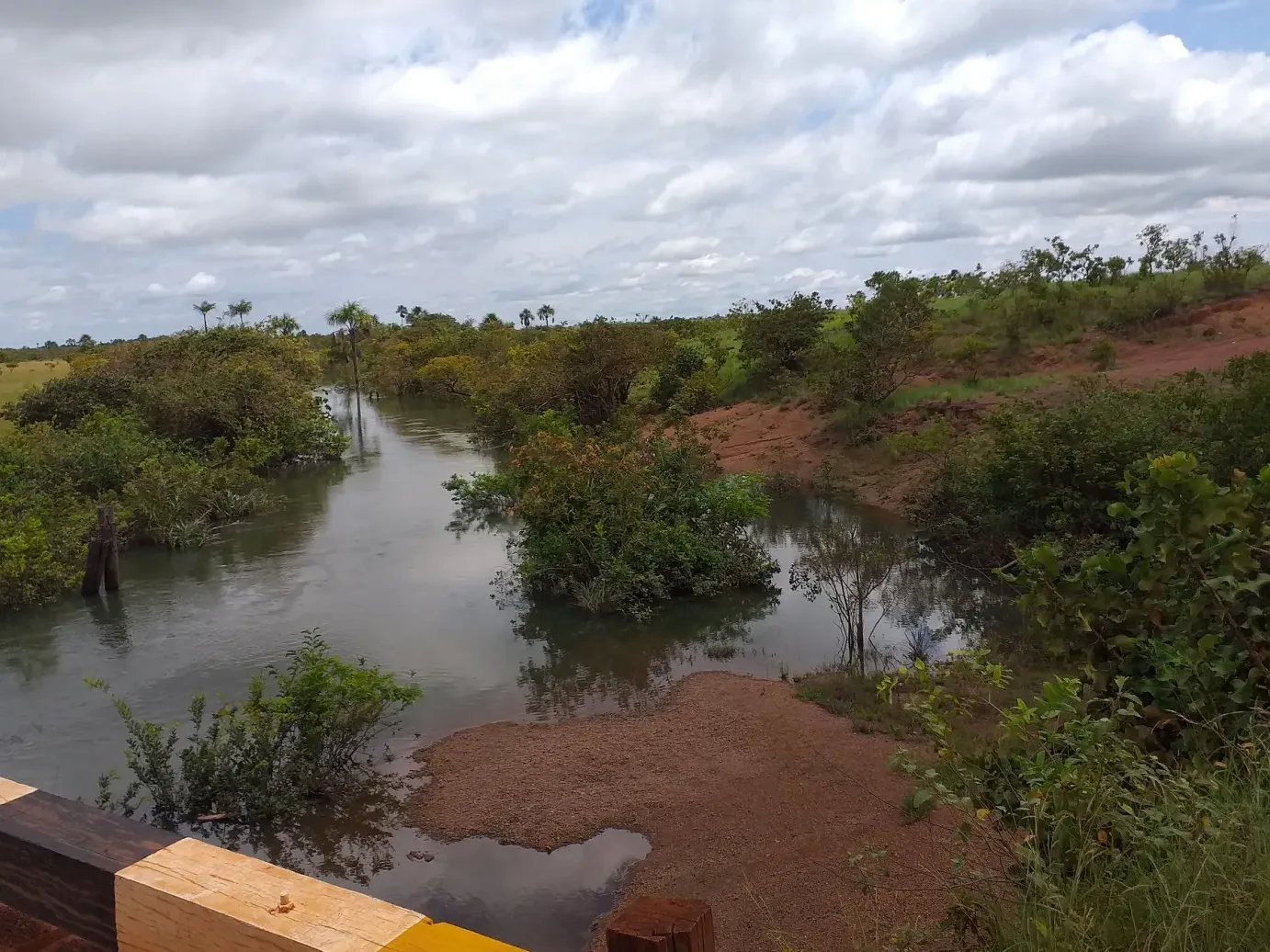 Rupununi Savannahs