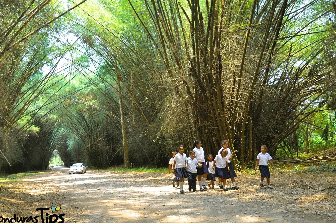 Jardín Botánico Lancetilla