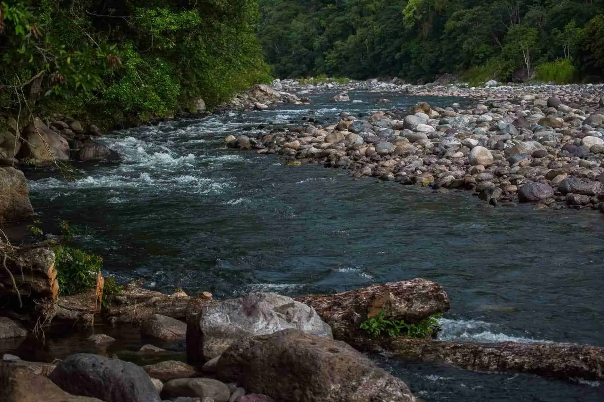 Río Cangrejal