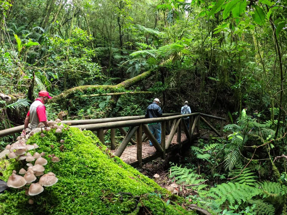 Parque Nacional La Tigra