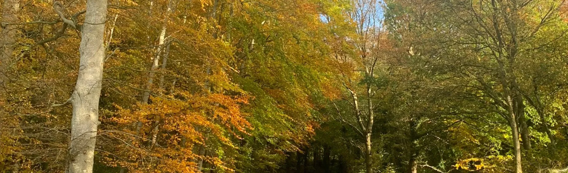 Jardines de Loughgall Country Park