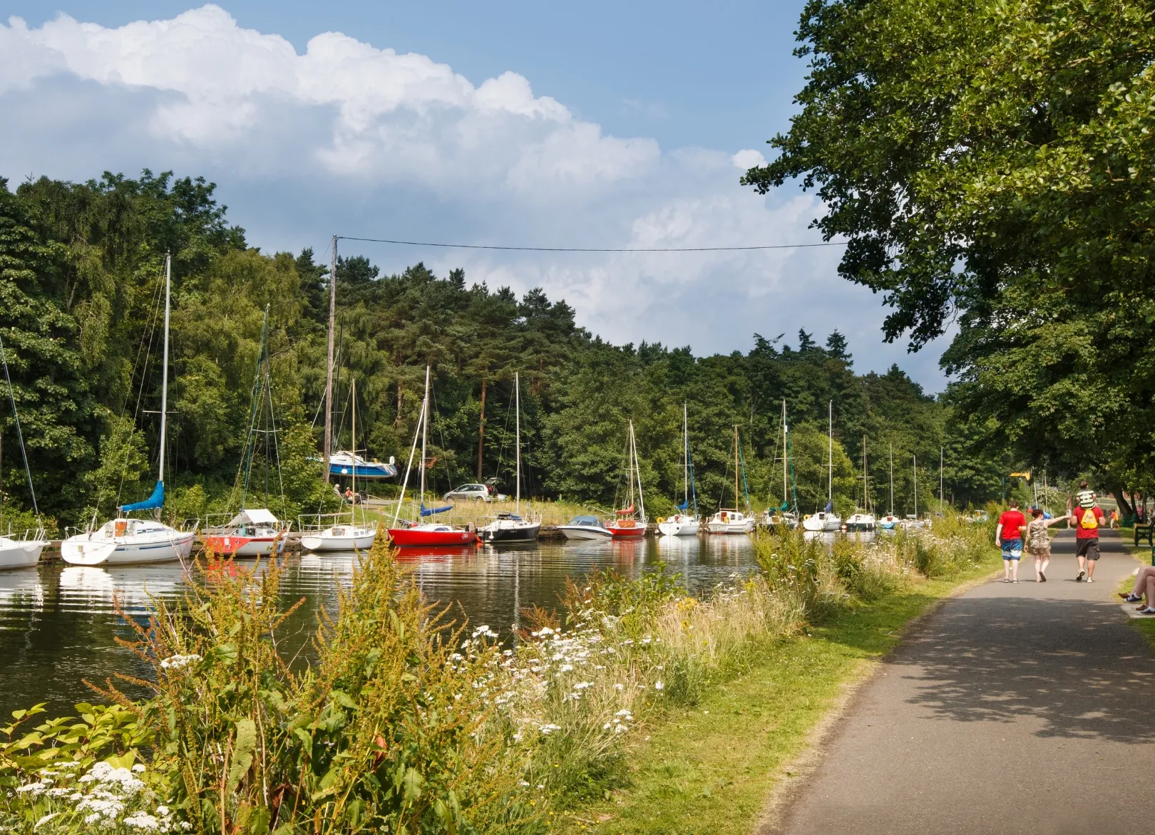 Loughshore Trail