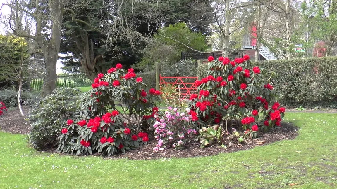 Tannaghmore Gardens