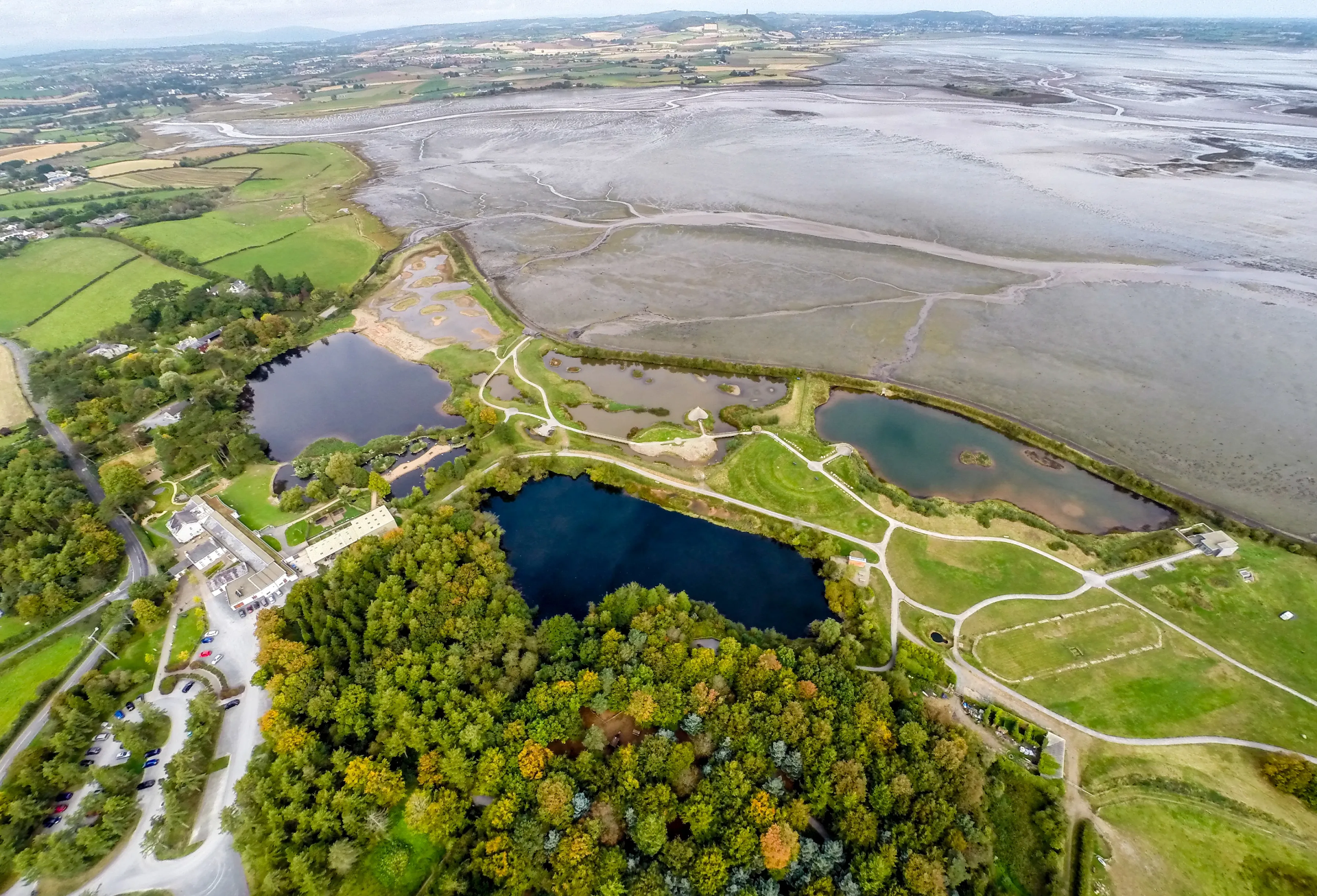 Castle Espie Wetland Centre