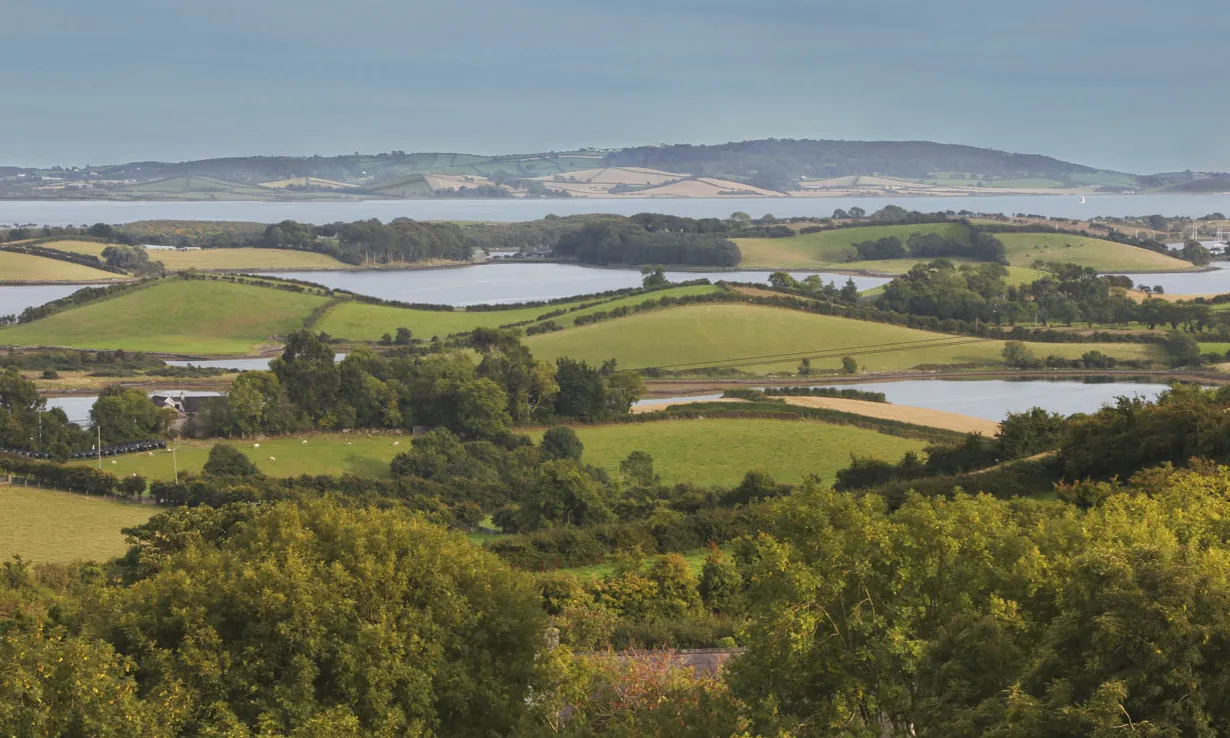 Strangford Lough