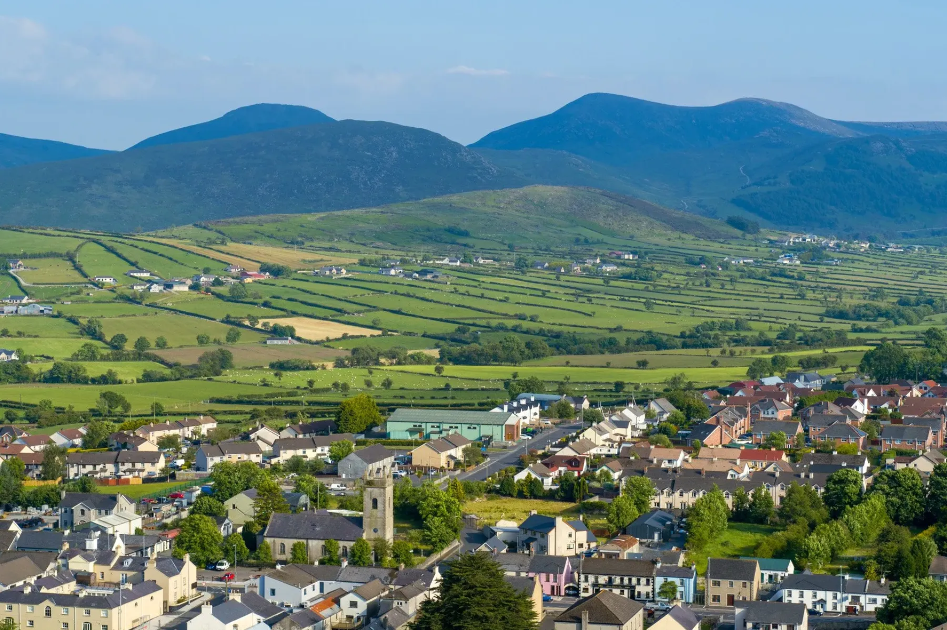 Tribu de Mourne Brewery