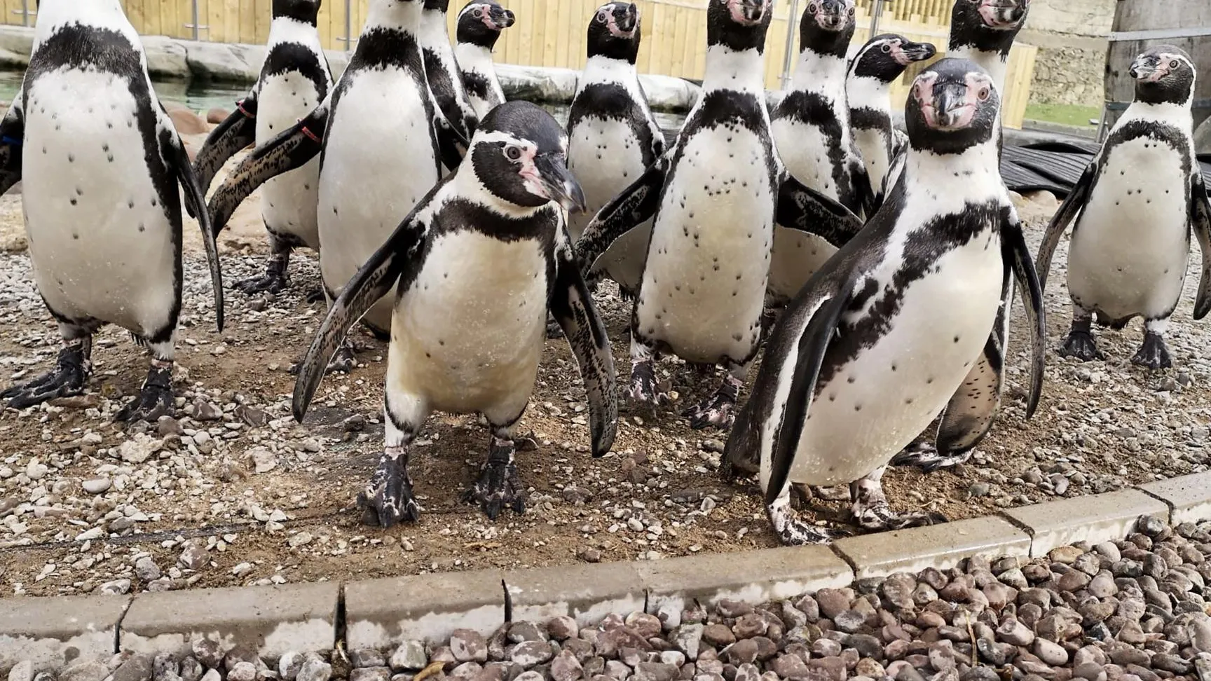 Exploris Aquarium