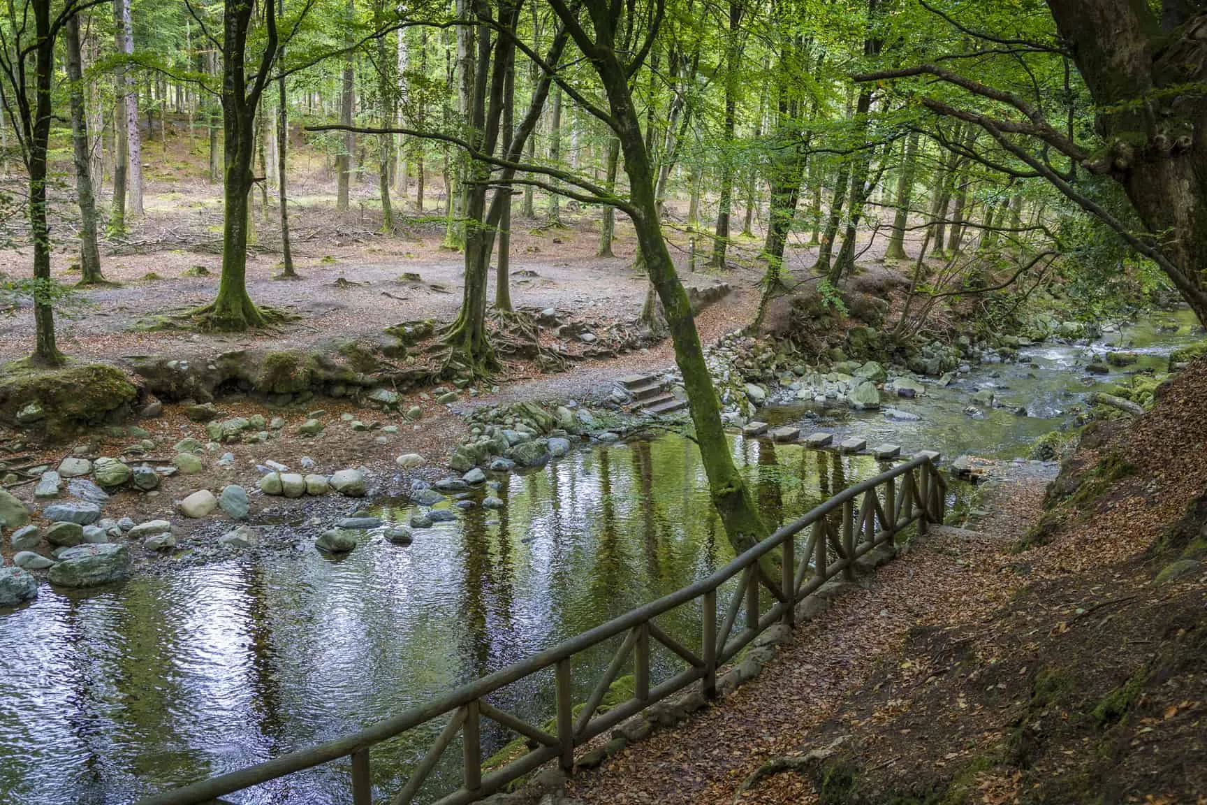 Tollymore Forest Park