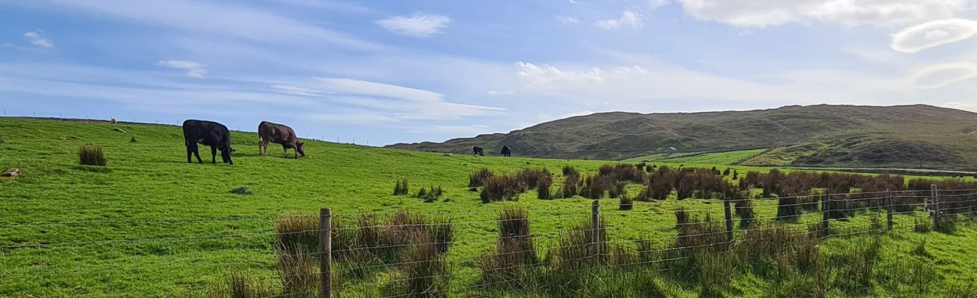 Slieve Croob