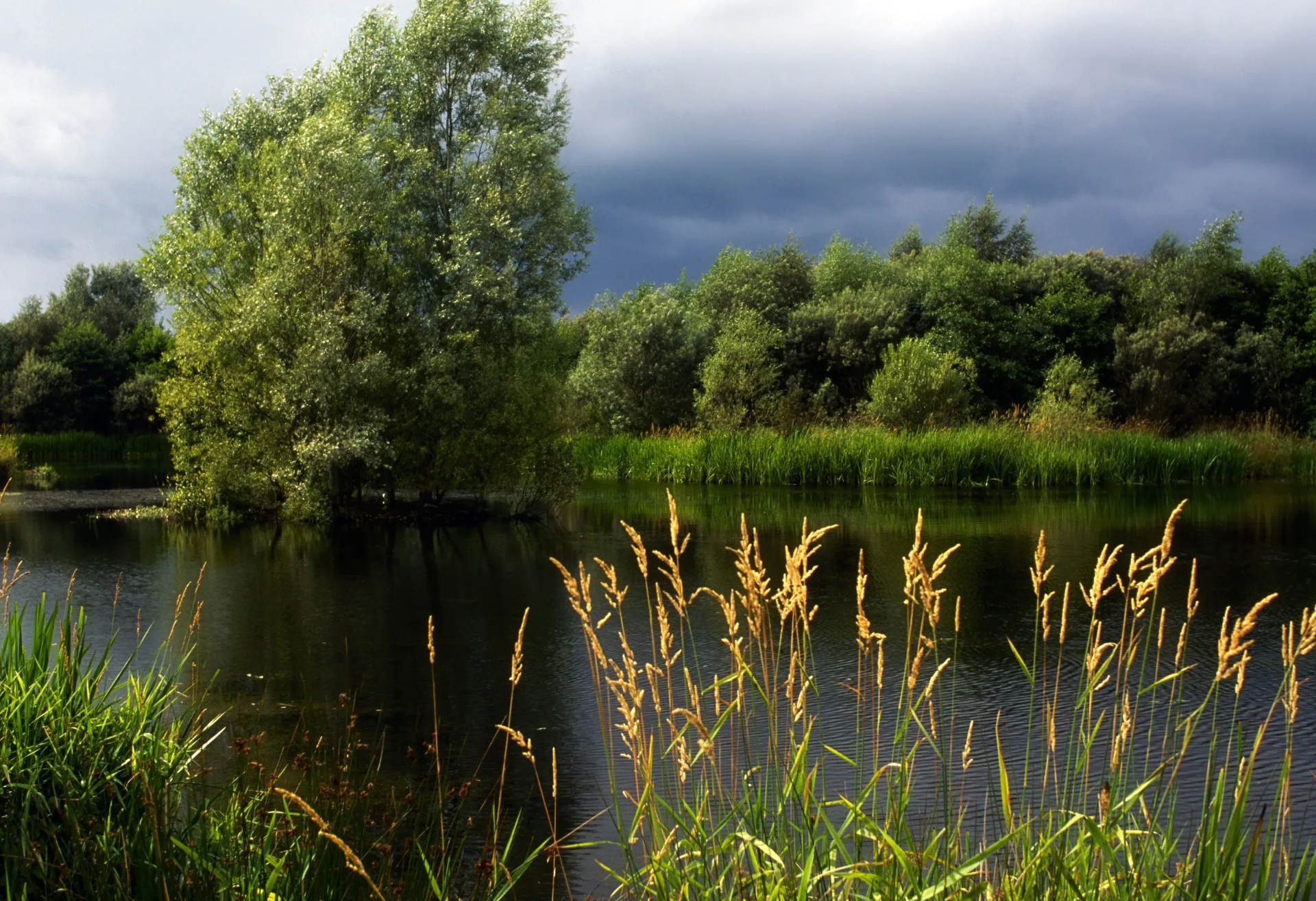 Ballysaggart Lough