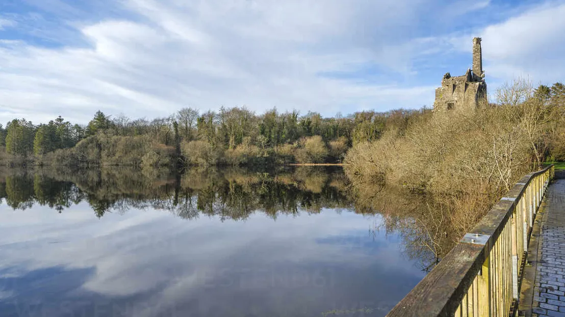 Dromore Wood Nature Reserve